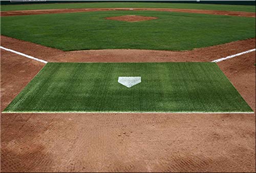PREMIUM PRO TURF Baseball Softball Hitting Mat